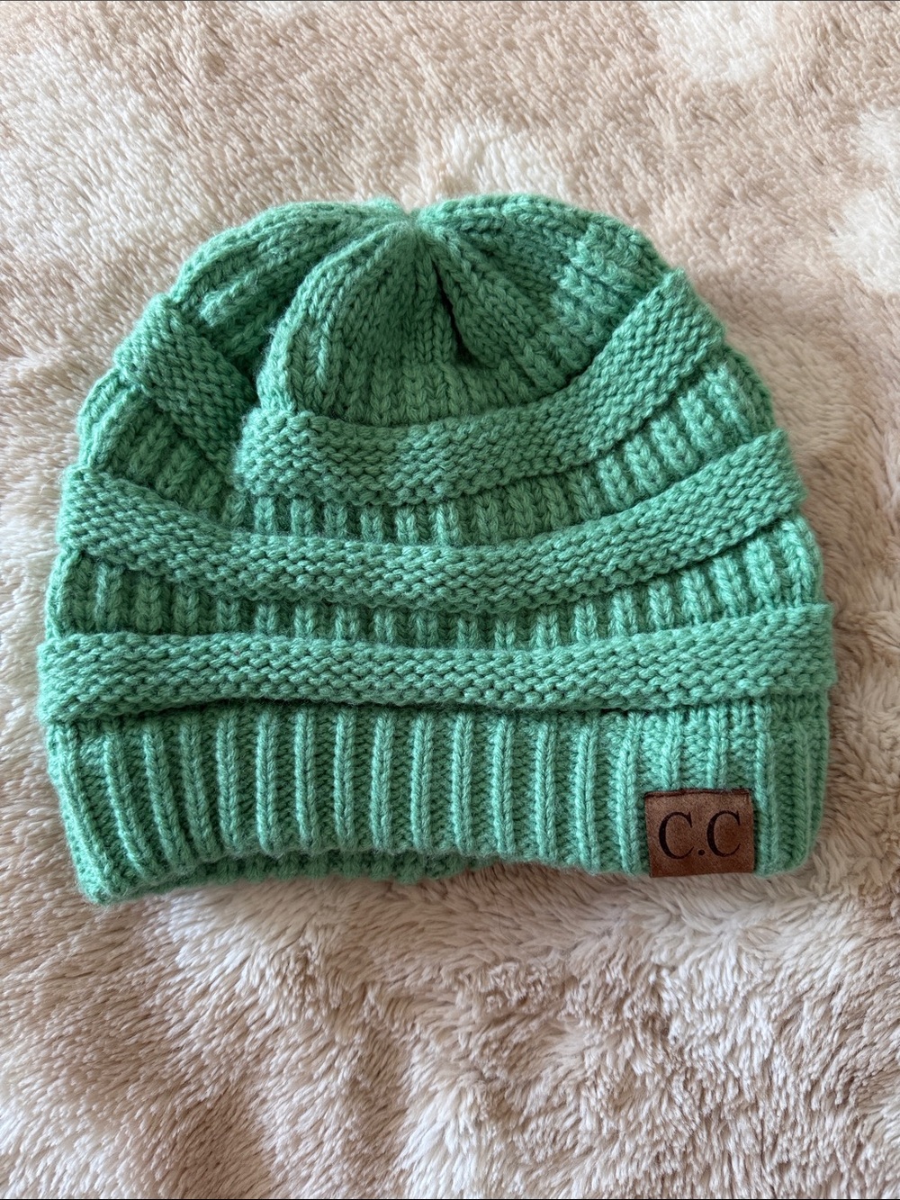 C.C Mint Knit Textured Beanie